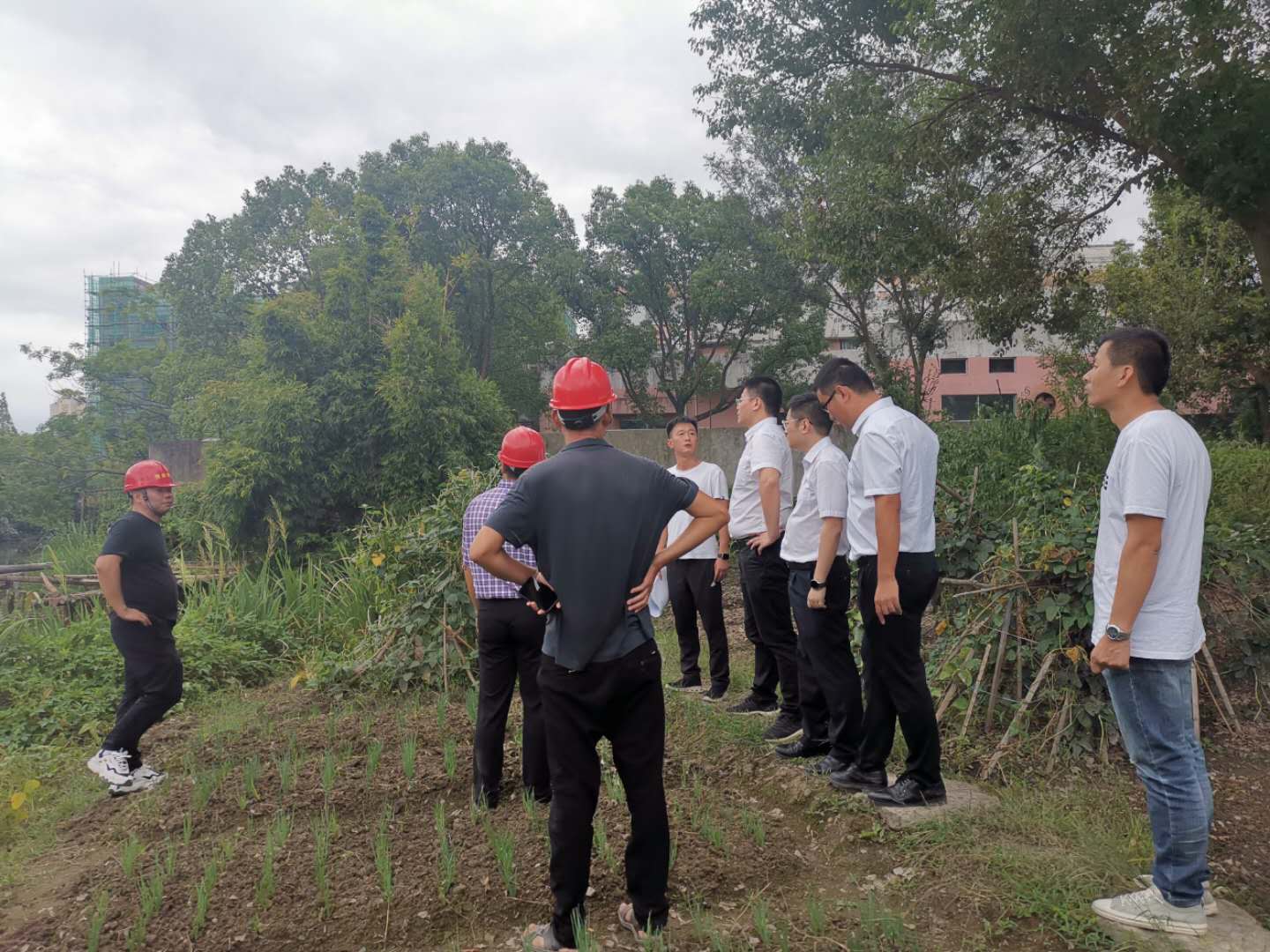 1600675480948162.jpg 1600675480948162.jpg