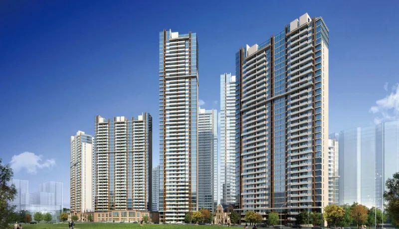 1610348849126100.jpg 1000 (1).jpg