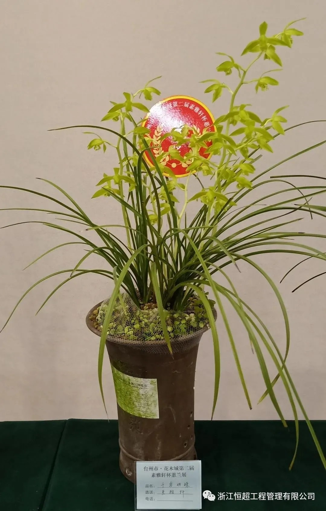 1618281578872684.jpg 640.webp (2).jpg