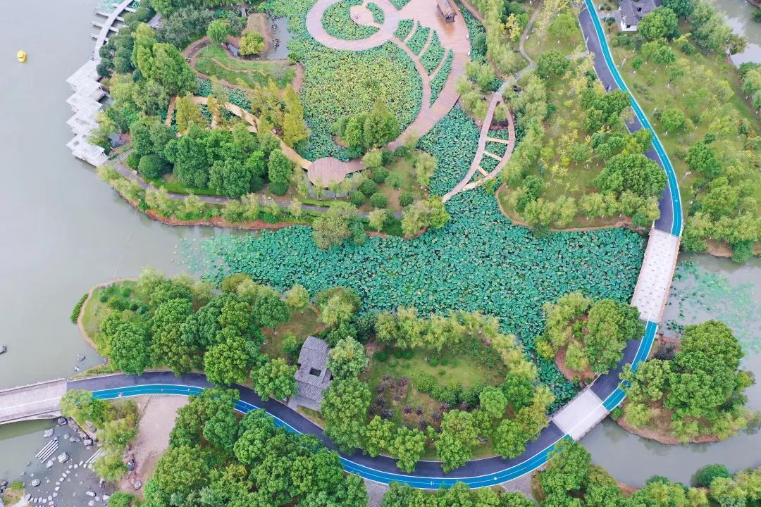 1631498402676029.jpg 图片关键词